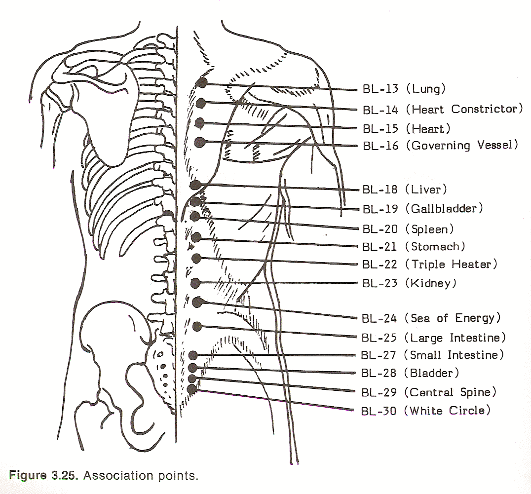 xiphoid process anatomy definition - ModernHeal.com