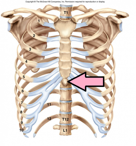 pain in centre of chest bone pain in centre of chest bone