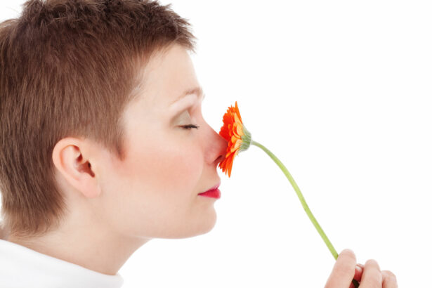How to regain sense of smell